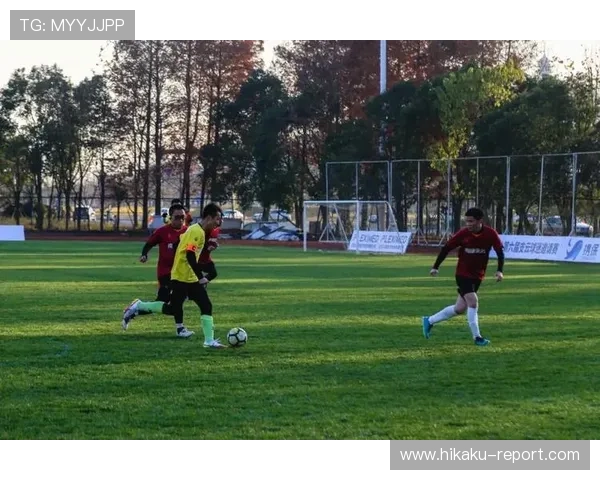 开云体育最新网址快速访问指南，轻松找到官方入口享受精彩赛事