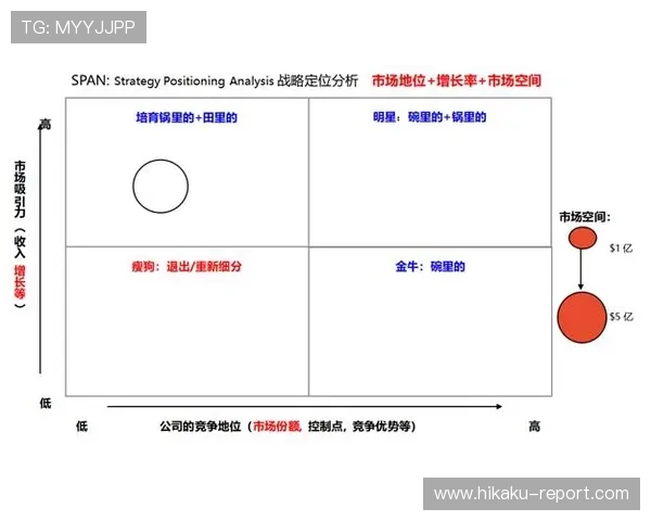 开云集团董事长的领导风格与企业战略分析助力行业未来发展